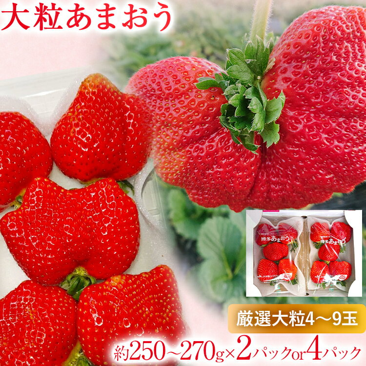【ふるさと納税】 【2026年2月上旬より順次発送】 大粒あまおう 2パック 4パック セットが選べる いちご 苺 フルーツ 果物 くだもの 福岡県 福岡 九州 グルメ お取り寄せ