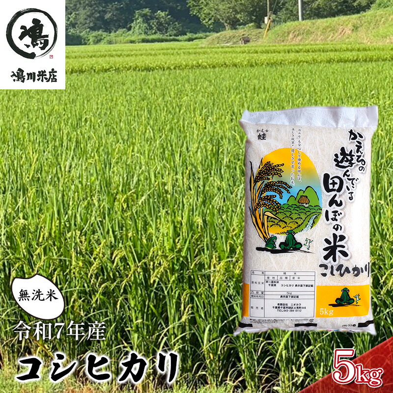 【ふるさと納税】新米　令和7年 コシヒカリ　無洗米　5kg お米 精米 粘りつやつや 甘み 美味しい 新鮮