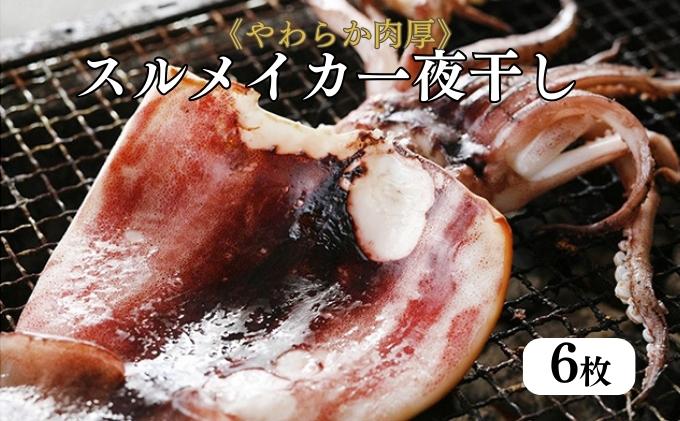 柔らか肉厚の スルメイカ 一夜干し 6枚[ 国産 干物 肴 つまみ イカ ]