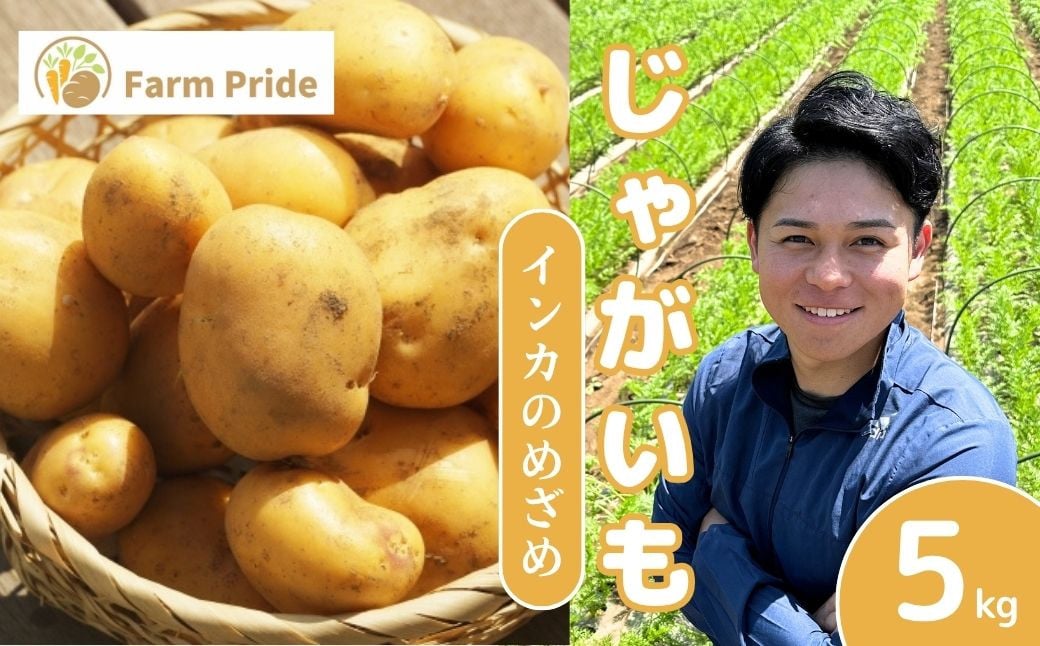 
            ＜先行予約＞Farm Prideが育てた じゃがいも インカのめざめ 5kg | じゃがいも インカのめざめ 野菜 料理 素揚げ ポテトチップス 産地直送 株式会社farmpride 埼玉県 所沢市
          