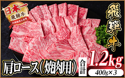 
                  飛騨牛　厳選肩ロース(焼肉・BBQ用) 計1.2kg(400g×3)　黒毛和牛　小分け【1674166】
                