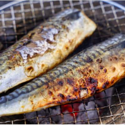 ふるさと納税 銚子市 【骨取り】 塩さば15枚　 干物 |  | 02