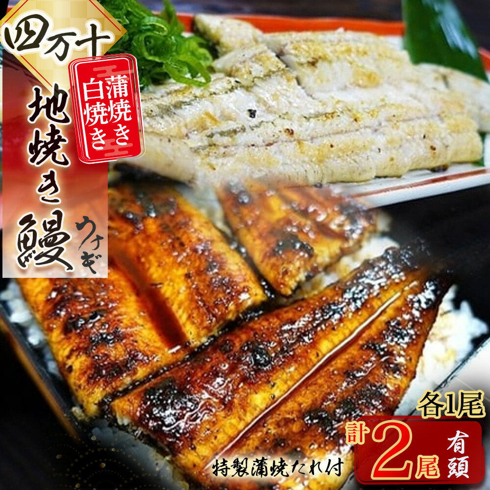 【ふるさと納税】 四万十地焼き鰻2尾 蒲焼＆白焼セット Esg-20 蒲焼 白焼 国産 鰻 ウナギ うなぎ 蒲焼き 肉厚 土用の丑の日