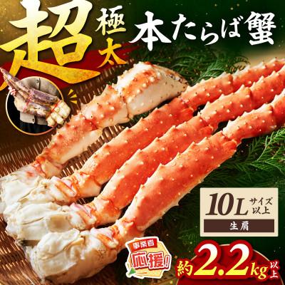 ふるさと納税 泉南市 □【極太メガサイズ】生たらば蟹 生肩 10L以上(約2.2kg以上) ふるさと納税3.0