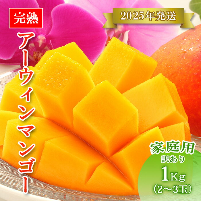 【ふるさと納税】【先行予約】＜2025年発送＞いらぶ島マンゴー園　宮古島産“完熟アーウィンマンゴー”《家庭用》1kg（HR04）