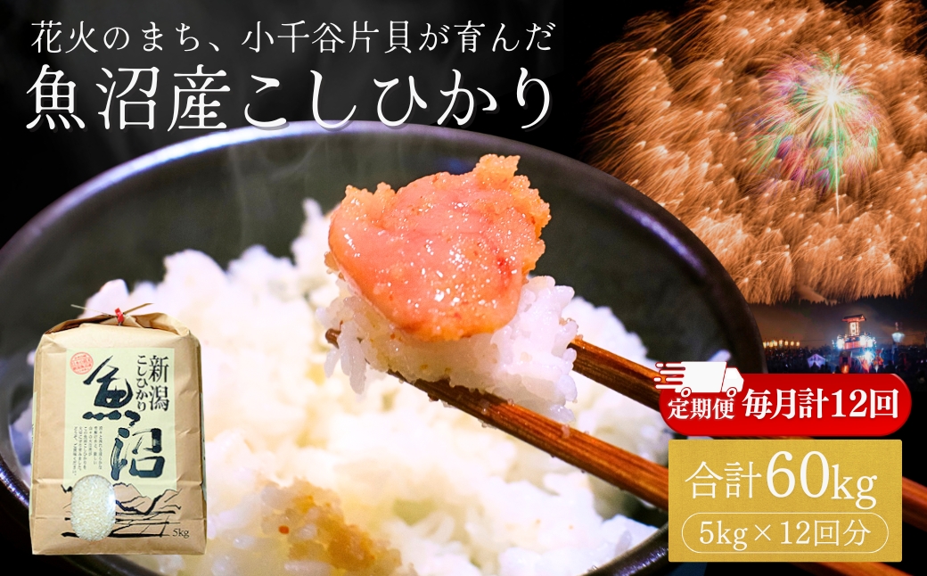 【定期便】令和7年産 魚沼産コシヒカリ 5kg×12回 (計60kg) 米萬商店 | 毎月お届け 四尺玉の町・片貝産 新潟 白米 12ヶ月コース 頒布会 産地直送 ブランド米 老舗米屋の厳選米【0002-KM11DB00-02】