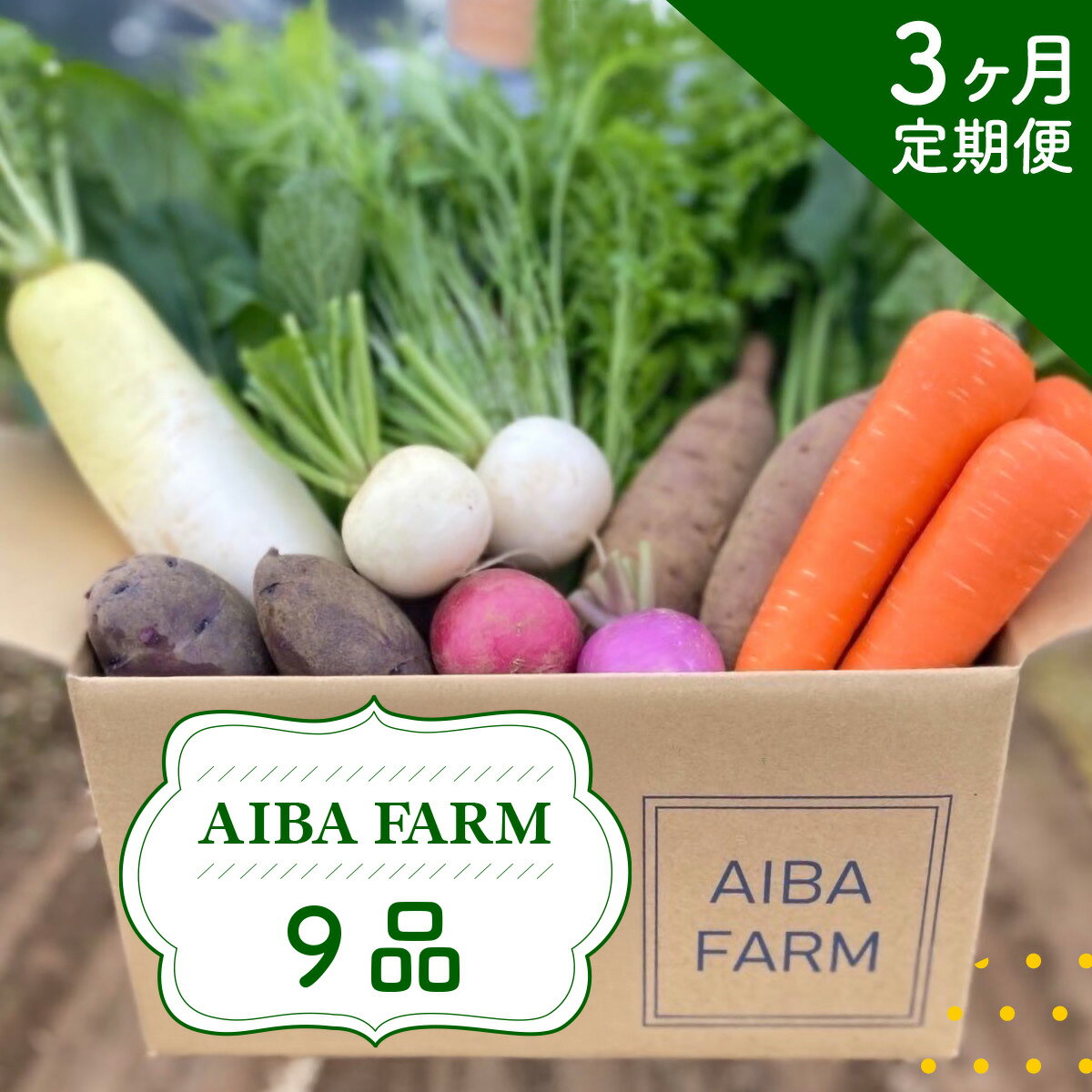 【ふるさと納税】 【3ヶ月 定期便】【栽培期間中農薬不使用】農家直送！季節の新鮮野菜「9品」詰め合わせセット AIBA FARM 野菜セット 無農薬 野菜 千葉県 富里市 直送野菜 お野菜セット 旬野菜 季節野菜 農家直送 採れたて とれたて やさい TML002