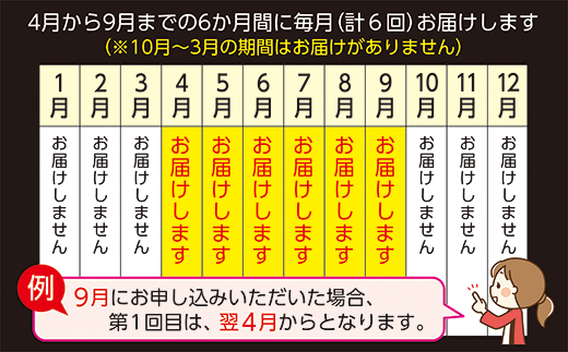 昭和21年創業 老舗の極みハンバーグの定期便 _k-5