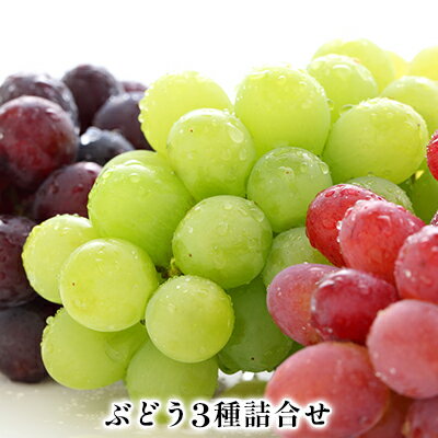 【ふるさと納税】【2026年先行予約】ぶどう 3種 食べ比べ セット 約420g | シャインマスカット 巨峰 ベニバラード 詰め合わせ | 信州 長野県産 ブドウ 食べ比べ 葡萄 詰合せ | 令和8年9月上旬～10月中旬頃順次発送予定 | 長野県 生坂村 [姫野農園]