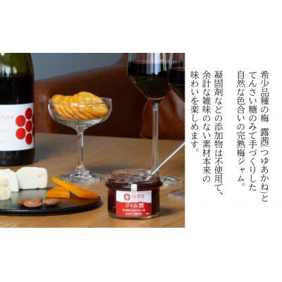 ふるさと納税 南相馬市 梅農園ジャム 600g (100g×6個) | 梅ジャム 梅 国産 無添加 完熟 露茜 相馬アグリ