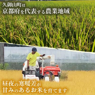 ふるさと納税 久御山町 ヒノヒカリ無洗米5kg |  | 01