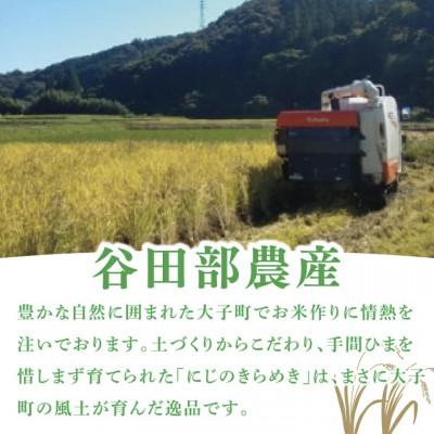 ふるさと納税 大子町 【毎月定期便】立神米「にじのきらめき」5kg|茨城県 大子町 大子産米 全6回 |  | 03