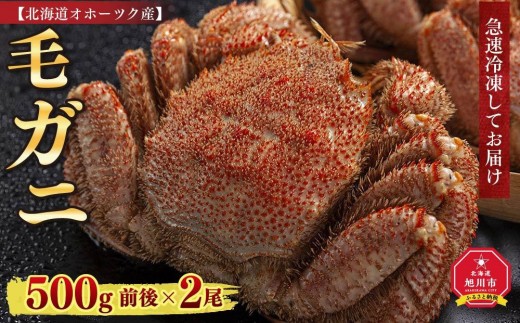 【着日指定可】北海道オホーツク産 毛ガニ 500g前後×2尾（計1kg）_01192