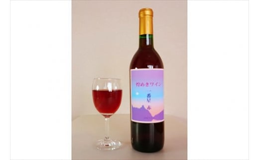 
10-4_煌めきワイン一番星（赤）1本｜ ワイン 赤ワイン 720ml 純国産 アルコール 酒 国産ワイン 愛知 愛知県 岐阜 尾張
