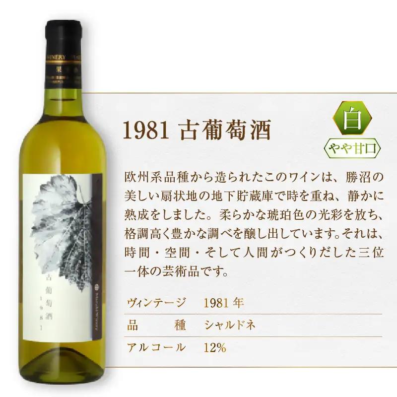 ワイン 『希少！40年超熟成ワイン』1981古葡萄酒【白】まるき葡萄酒（MG）G07-660
