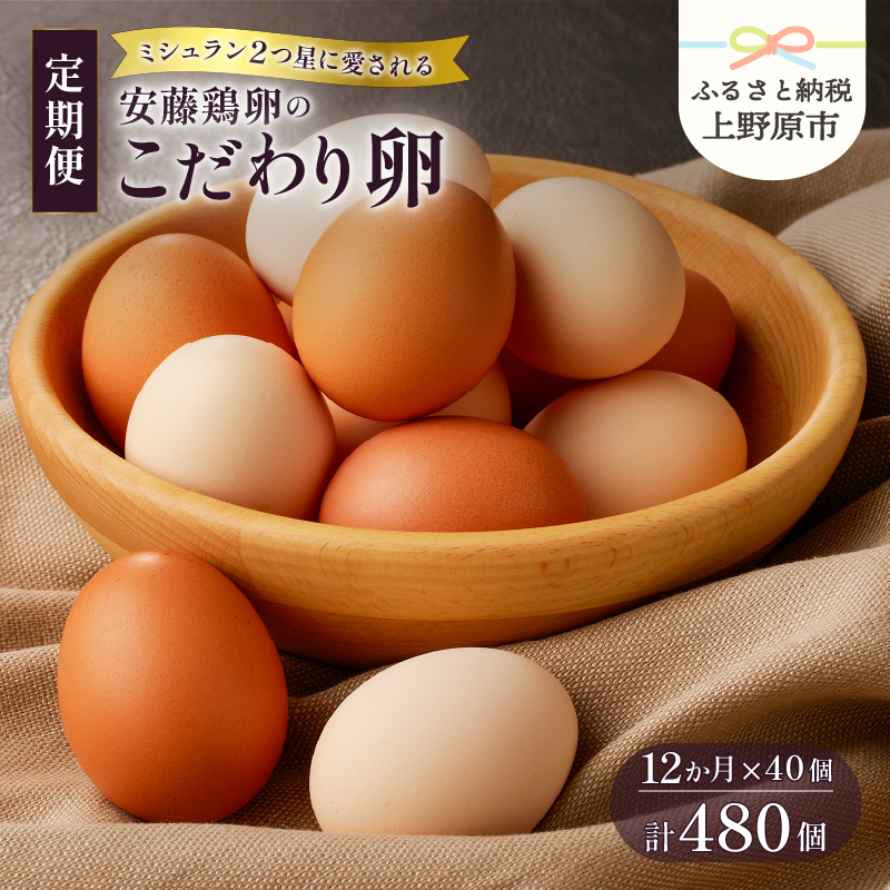 【ふるさと納税】 【12ヶ月定期便】たまご 卵 定期便 お楽しみ 生卵 卵かけご飯 高級 高級卵 濃厚鶏卵 新鮮 セット ミシュラン こだわり卵 40個×12カ月 送料無料 山梨県 上野原市