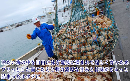 16-100 北海道オホーツク海産ホタテ玉冷(1kg)