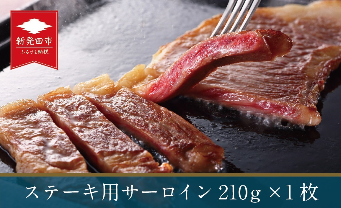 
新発田産 にいがた和牛 ステーキ用 サーロイン 約210g×1枚 【 牛肉 にいがた和牛 和牛 赤身 焼肉 ステーキ サーロイン サーロインステーキ ふるさと納税 和牛 BBQ キャンプ 特選 贅沢 A5ランク 厳選和牛 A5 ブランド牛 ギフト 贈答 H06 】
