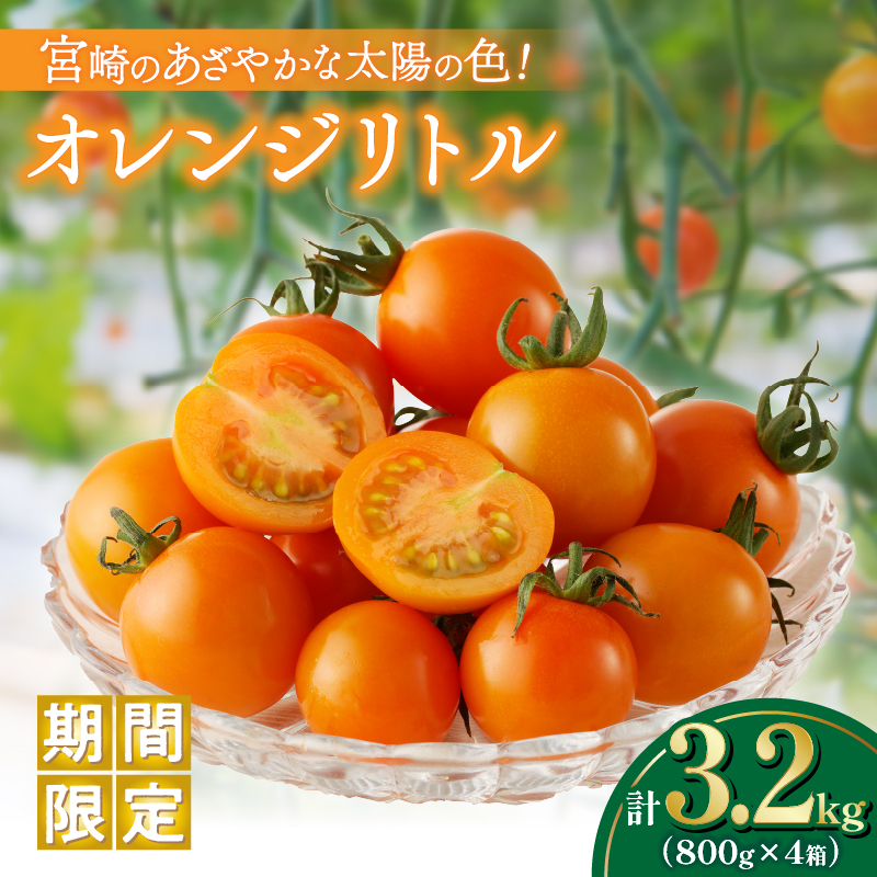 ≪期間限定≫オレンジリトル(合計3.2㎏)_T040-0041【ミニトマト 野菜 サラダ 国産 人気 ギフト 食品 とまと フルーツ 新鮮 お土産 送料無料 プレゼント】