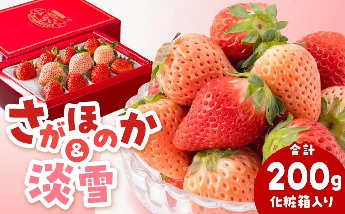 
                  いちご【農家直送】淡雪＆さがほのか 赤白いちごセット計200g（化粧箱入り）【岸川農園】淡雪 さがほのか 苺 いちご 苺 果物 イチゴ イチゴ 苺 ichigo strawberry ストロベリー 旬 イチゴ フルーツ 果物 いちご ベリー 人気苺 ふるさと納税苺 おすすめ苺 佐賀県産 いちご 化粧箱  [IAP031]
                