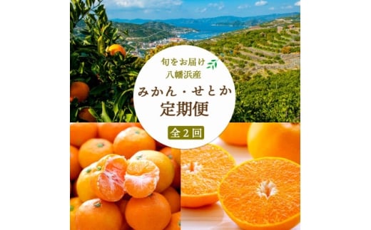 ＜発送月固定定期便＞愛媛みかん小玉6kg(訳)×せとか2kg＜G25-262＞全2回【4071216】