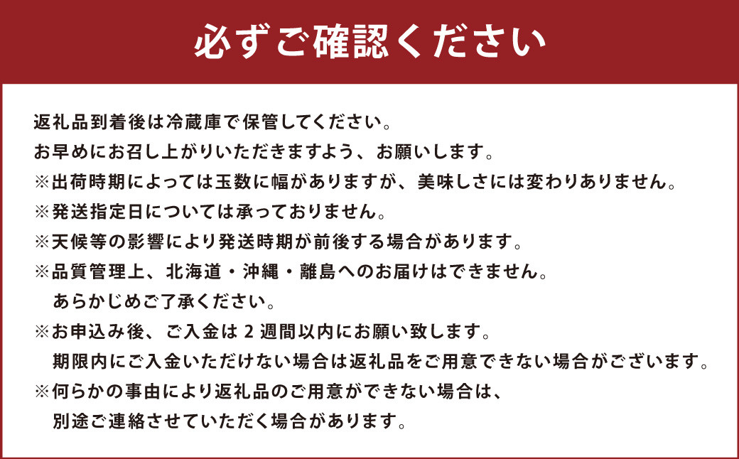 博多 あまおう リッチな 3回 定期便 計約 3360g 福岡 イチゴ いちご 苺 フルーツ【2026年12月上旬～2027年2月下旬発送予定】