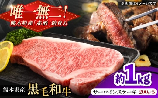 熊本県産 『原田畜産』 黒毛和牛 サーロイン ステーキ 計約1kg（約200g×5枚） 牛肉 牛 【有限会社 九州食肉産業】 [AYCN151]