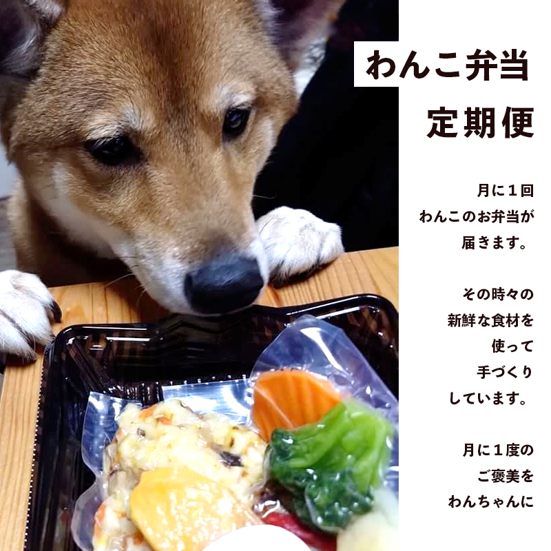 定期便 3回 愛犬用 無添加 お弁当 セット Sサイズ 詰め合わせ スープ おやつ 4袋 小型犬 ご飯 ドックフード ペット ドッグ エサ 餌 手作り 京都 舞鶴 犬