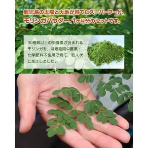 083-01 鹿児島TELLASファームのモリンガパウダー1か月分