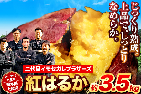 熊本県大津町産 イモセガレブラザーズの紅はるか 約1.5kg （大中小不揃い）《12月上旬-12月末頃出荷(土日祝除く)》二代目イモセガレブラザーズ さつまいも 芋 紅はるか スイートポテト 干し芋にも 特産品 熟いも さつま芋 秋 旬