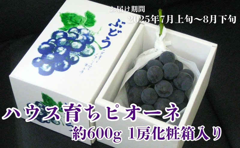 
            ハウス育ち ピオーネ 約600g 1房化粧箱入り 果物 ぶどう ブドウ フルーツ 
          