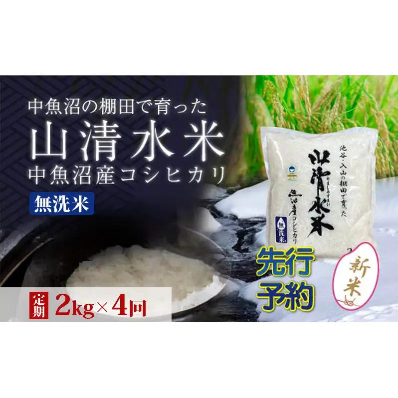 【令和8年産 先行予約】【定期便／全4回】無洗米2kg 新潟県魚沼産コシヒカリ「山清水米」