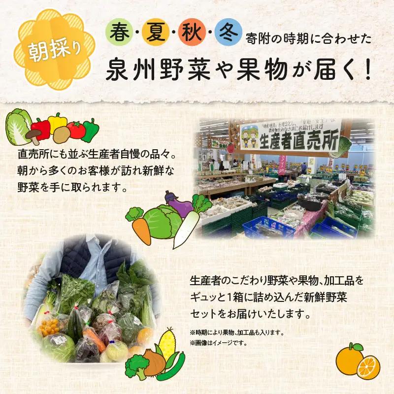 泉州野菜 定期便 15種類以上×全3回【毎月配送コース】