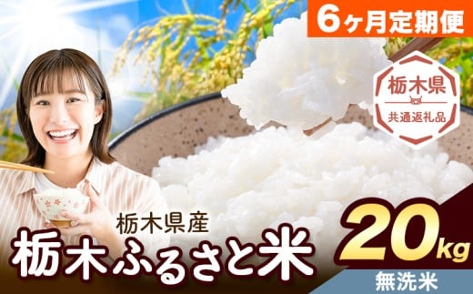 【6ヶ月定期便】米 栃木 ふるさと米 無洗米 20kg (5kg×4袋)《翌月より出荷開始》栃木県 野木町 米 国産 お米 おこめ お弁当 おにぎり【栃木県共通返礼品】