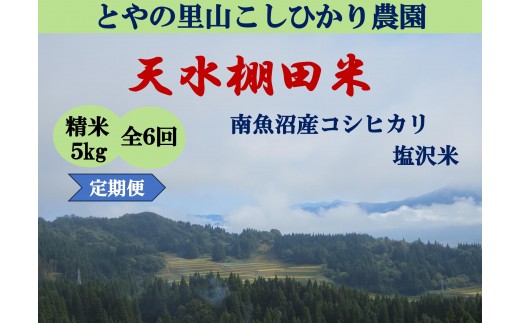 令和8年産新米予約定期便【天水棚田米】特別栽培米雪蔵熟成塩沢産コシヒカリ精米5kg6回「とやの里山継承プロジェクト」【定期便 銘柄米 精米 こしひかり コシヒカリ 魚沼産 新潟米】【2026年10月下旬より順次発送予定】