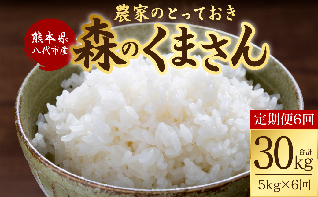 【先行予約】 【定期便6回】 【令和7年産】 熊本県八代市産 森のくまさん 農家のとっておき 5kg×6回 米 お米 精米  国産 白米 ごはん ご飯 【2025年11月上旬より順次発送】