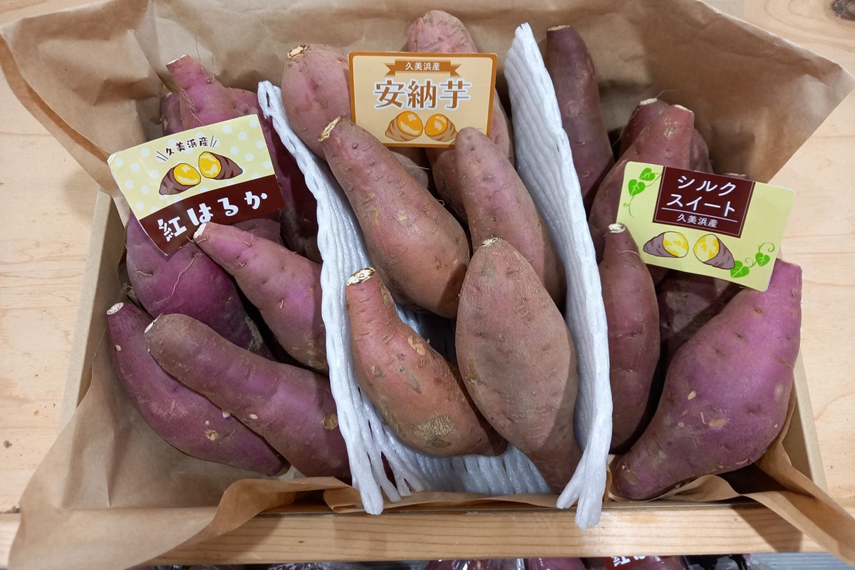 【先行予約／数量限定】直売所直送「京都・京丹後産 訳あり さつまいも3種食べ比べセット」計3kg（2025年10月下旬～発送）　JA00069