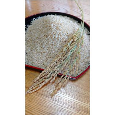 ふるさと納税 白石市 【新米】令和7年産　ひとめぼれ　玄米　10Kg |  | 01