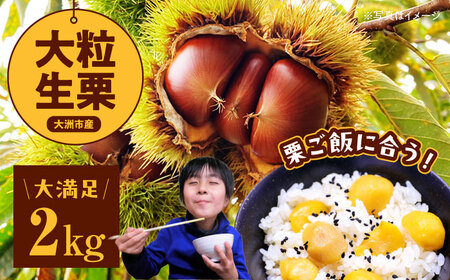 【先行予約】【9月中旬から順次発送】 愛媛県産高級和栗 大粒生栗 2kg 国産甘栗 甘栗 生栗 くり 和栗 愛媛県大洲市/あじさい農園 [AGAE008]国産甘栗 甘栗 生栗 くり 和栗  あまぐり くり