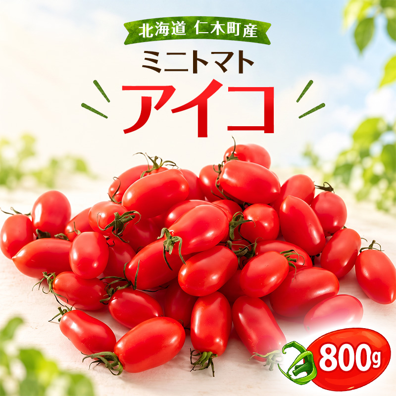 【2026年発送】北海道 仁木町産 ミニトマト アイコ 800g 産地直送 トマト 甘い 完熟 夏野菜 冷蔵 [林果樹園]