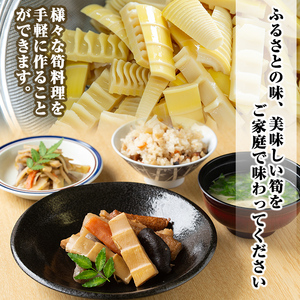 a530 《先行予約受付中！2026年6月以降順次発送予定》数量限定！黄金北山筍(小)250g×6本合計約1.5kg【北山校区コミュニティ協議会】国産 鹿児島県産 たけのこ タケノコ 水煮 野菜 瓶 