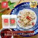 【ふるさと納税】美濃白川茶ミューズリー＆甘酒仕込みのミューズリーセット（各220g×1袋）| シリアル 甘酒 オートミール ヘルシー トミィミューズリー BS001VP | 食品 加工食品 人気 おすすめ 送料無料