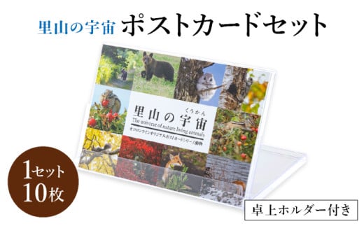 【泊和幸】ポストカードセット(動物)
