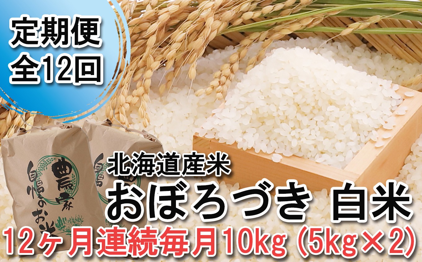 
                  ＜ 定期便 12回 ＞ 北海道産 希少米 おぼろづき 白米 計 10kg (5kg×2) 毎月 12回 新米 お米 米 こめ 北海道米 ＜ 10月中旬より発送開始 ＞
                