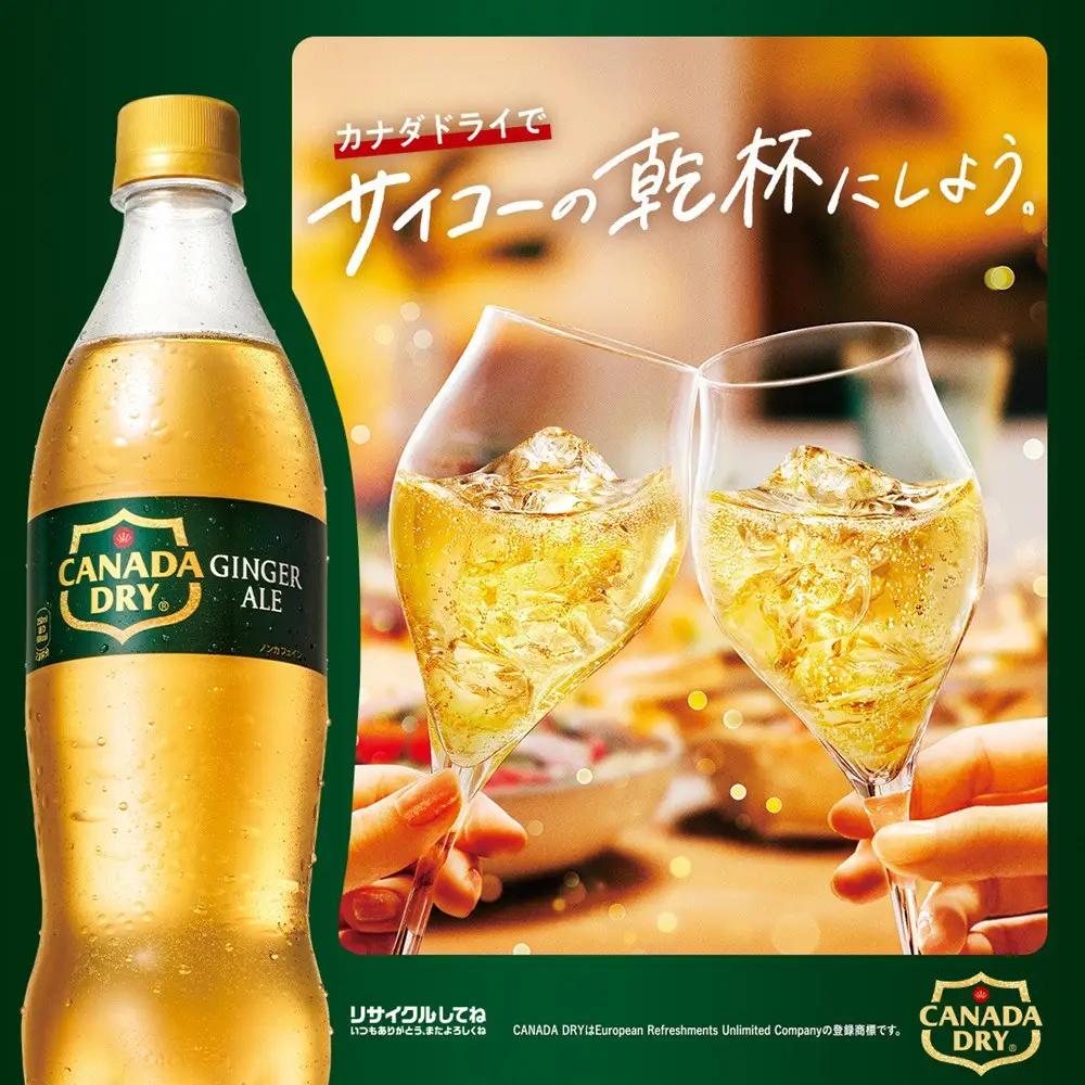 カナダドライ ジンジャーエール 500mlPET×24本×2箱　【11100-0570】リフレッシュ 炭酸飲料 ケース 箱買い まとめ買い 備蓄 飲料 ソフトドリンク ギフト ふるさと納税 さいたま市