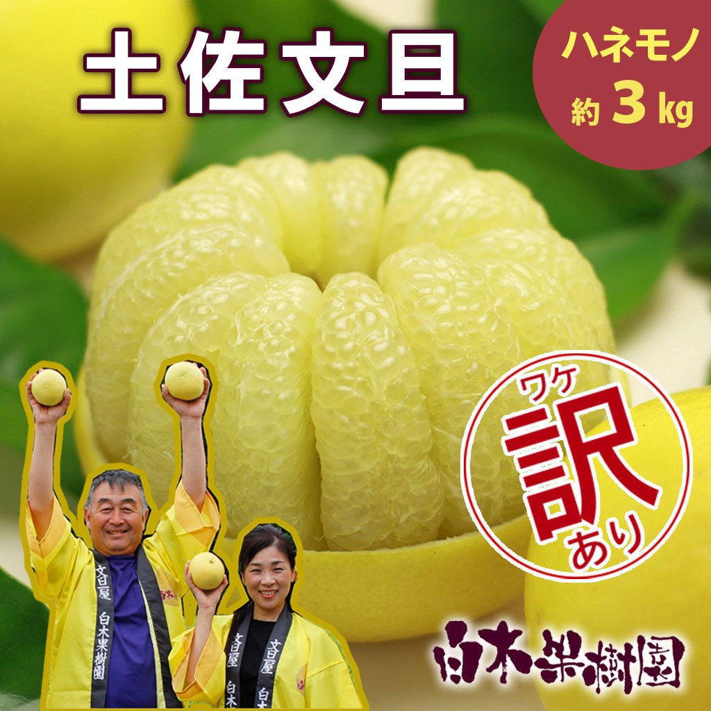 
                  【先行予約】【果樹園直送】土佐文旦 訳ありご家庭用 約3kg L～4Lサイズ 約5～7個入り〈2027年2月中旬～3月下旬頃発送〉  / B級品 ぶんたん ブンタン フルーツ 柑橘 みかん 果物 くだもの 柑橘類 デザート【白木果樹園】 [BQAI014]
                