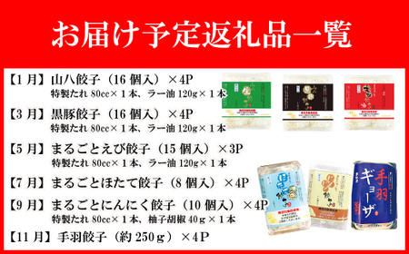 ぎょうざの山八★餃子定期便（年6回奇数月）【随時開始】[H7003]