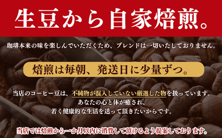  稀少 厳選 珈琲豆 トップスペシャルティーコーヒー 粗びき 200g × 2袋 【 定期便 12回 】| コーヒー すぎた珈琲 奈良県 平群町