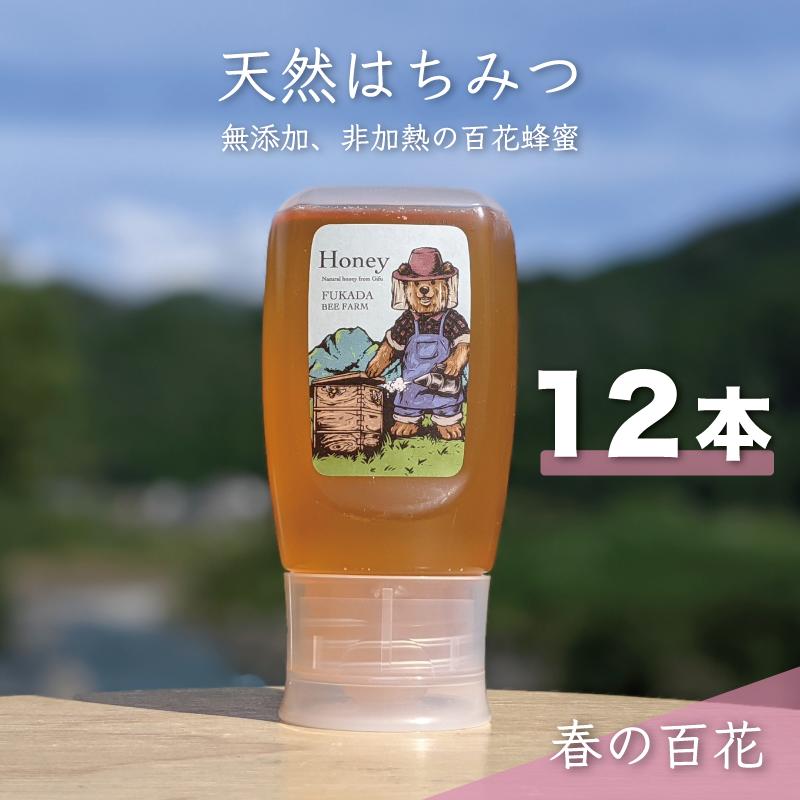 【ふるさと納税】合計3600g 天然蜂蜜 国産蜂蜜 非加熱 生はちみつ 岐阜県 美濃市産 春 (蜂蜜300g入りピタッとボトル12本セット) A18