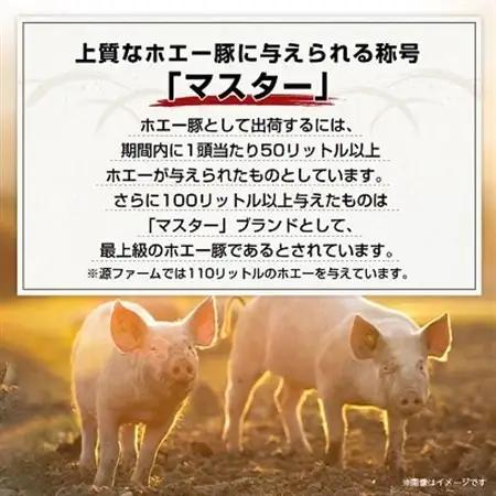 北海道十勝のグルメ!ホエー豚の豚丼セット(10人前)_肉  豚肉   調味料   _【配送不可地域：離島】【1396942】